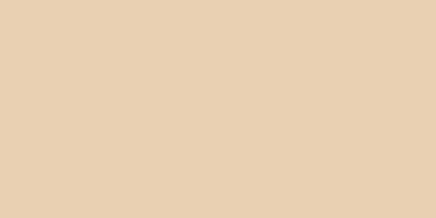 U10010 VL Sesame Beige-image